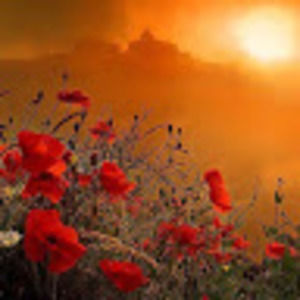 Meet your Posher, Leanne